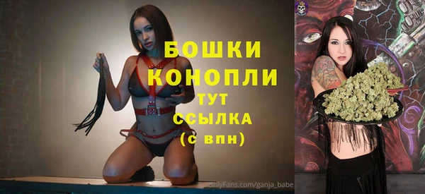 дурь Бронницы