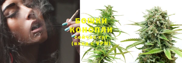 круглые Сосновка