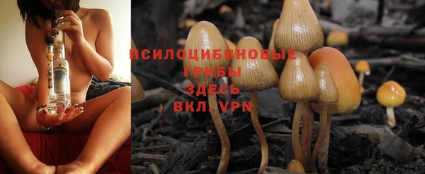 дурь Бронницы