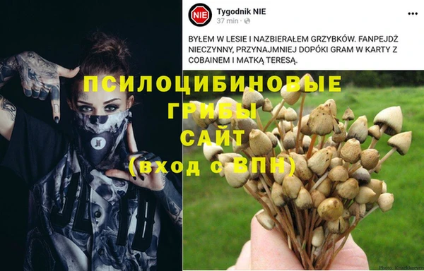 дурь Бронницы