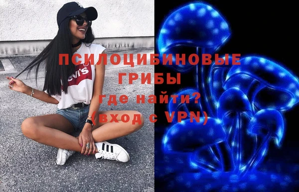 дурь Бронницы