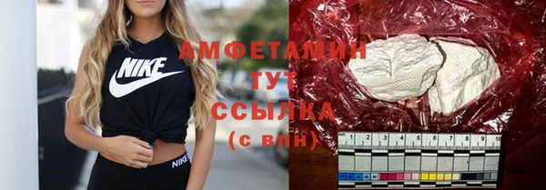 индика Сосновоборск